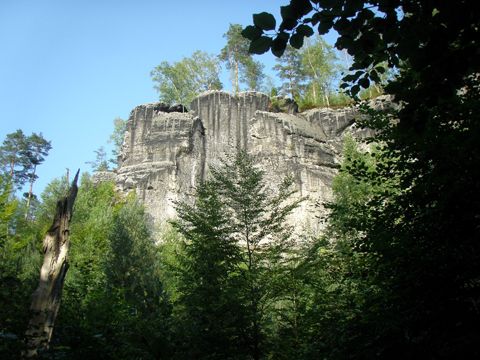 Foto 15